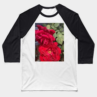 Red rose hot summer nz Baseball T-Shirt